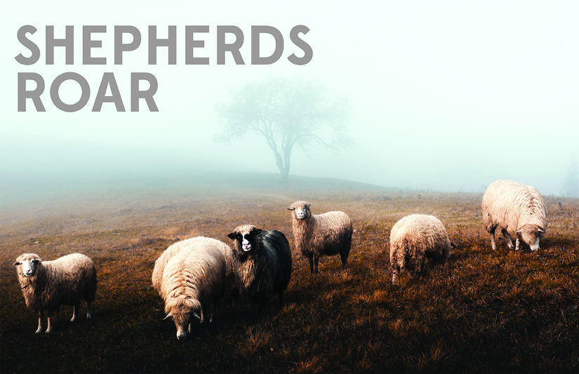 Wednesday—A Shepherd’s Vision